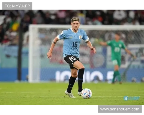 巴尔韦德乌拉圭国家队前景：核心地位稳固，竞争力持续提升